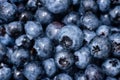 Wet fresh Blueberry background. close up with selective focus