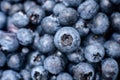 Wet fresh Blueberry background. close up with selective focus