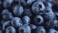 Wet fresh Blueberry background. Studio macro shot