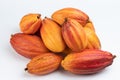 Wet fresh cocao orange pods Royalty Free Stock Photo