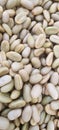 Wet fresh coffee beans, Boquete