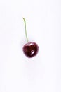 Wet fresh juicy single cherry Royalty Free Stock Photo