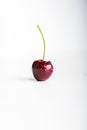 Wet fresh juicy single cherry Royalty Free Stock Photo