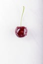 Wet fresh juicy single cherry Royalty Free Stock Photo