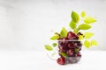 Wet fresh red juicy cherries with water drops, green leaves and tails in transparent plastic box on soft light white wood board. Royalty Free Stock Photo