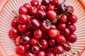 Wet fresh sweet cherries in strainer Royalty Free Stock Photo