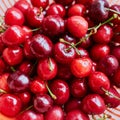 Wet fresh sweet cherries in strainer Royalty Free Stock Photo