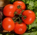 Wet fresh tomatoes Royalty Free Stock Photo