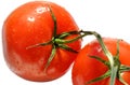 Wet fresh tomatoes separated on white background