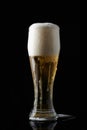 Wet full beer glass Royalty Free Stock Photo