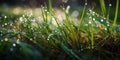 Wet garden grass close up. Grass natural high humidity. Generative AI