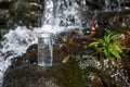 Wet glass of water on rocks near flowing stream outdoors, space for text Royalty Free Stock Photo