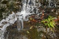 Wet glass of water on rocks near flowing stream outdoors, space for text Royalty Free Stock Photo