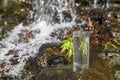 Wet glass of water on rocks near flowing stream outdoors, space for text Royalty Free Stock Photo