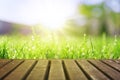 Wet grass field in sunny morning