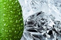 Wet green leaf with ice Royalty Free Stock Photo