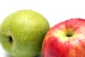 Wet green and red apple fruits