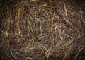 Wet hay texture at rainy day. vignette, background, agricultural. Royalty Free Stock Photo