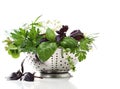 Wet herbs in colander