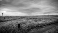 The Wet Hiking Trail After The Rain By The Grass Field Under The Stormy Sky In Black and White Long Beach Washington