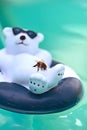 Wet honey bee rescuing from the pool on a plastic polar bear