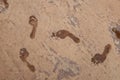 Human Footprints, Feet, Rock Background