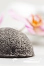 Wet Konjac Sponge Cleansing Tool, Close up, Macro