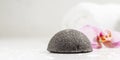 Wet Konjac Sponge Cleansing Tool, Copy Space