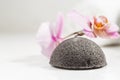 Wet Konjac Sponge Cleansing Tool, Copy Space