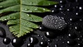 Wet leaf reflects beauty in nature harmony generated by AI