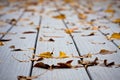Wet leaves on decking Royalty Free Stock Photo