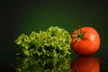 Wet lettuce and tomato leaves on a dark green background Royalty Free Stock Photo