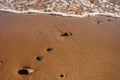 Wet little stones on brown sea sand background pattern with empty copy space Royalty Free Stock Photo