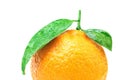 Wet mandarin with drops of water Royalty Free Stock Photo