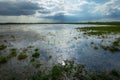A wet meadow and a cloudy sky and sunlight Royalty Free Stock Photo