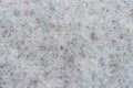Wet melting dirty, contaminated granular or firn snow texture, p Royalty Free Stock Photo