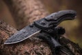 Wet, military tactical knife is stuck trunk fallen tree in the forest Royalty Free Stock Photo