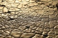 Wet Mud Texture at Rural area Royalty Free Stock Photo