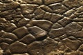 Wet Mud Texture at Rural area Royalty Free Stock Photo