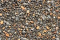 Wet multi-colored sea pebbles on the shore Royalty Free Stock Photo