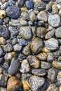 Wet beach stones in different shapes and colors. Royalty Free Stock Photo