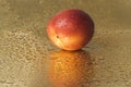 Wet nectarine Royalty Free Stock Photo