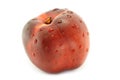 Wet nectarine Royalty Free Stock Photo