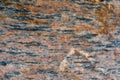 Wet orange and black striped patterned river rock as a nature background