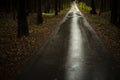 Wet path in park. Rain on asphalt. Empty road in forest in autumn Royalty Free Stock Photo