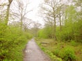 Wet path - walking on a soggy day Royalty Free Stock Photo