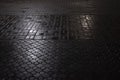 Wet pavement after rain at night park. Grunge background texture. Royalty Free Stock Photo