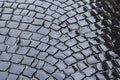 Wet pavement stone block Royalty Free Stock Photo