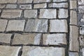 Wet paver blocks Royalty Free Stock Photo