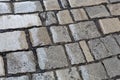 Wet paver blocks Royalty Free Stock Photo